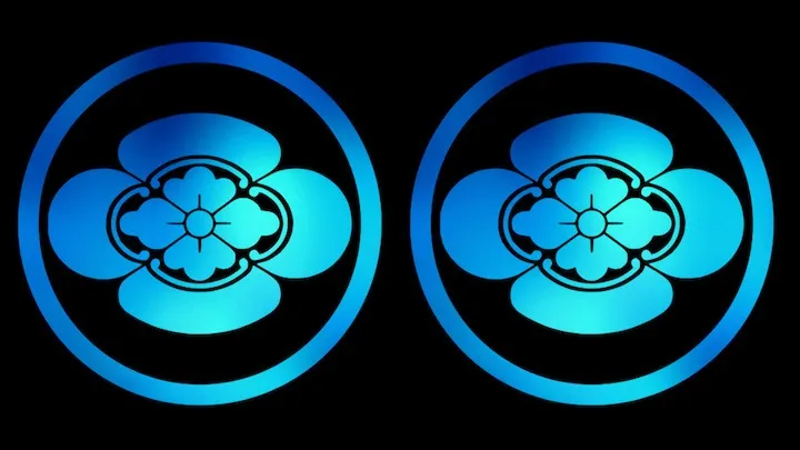 20250728173621.jpg