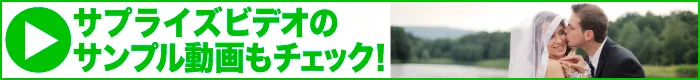 文章よむのに疲れたらサプライズビデオを見よう!